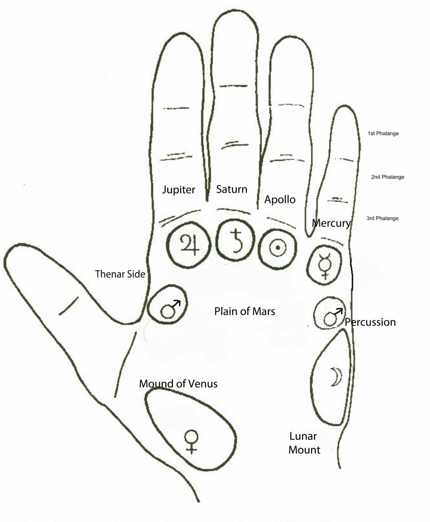 Learn Palmistry basics in 60 minutes