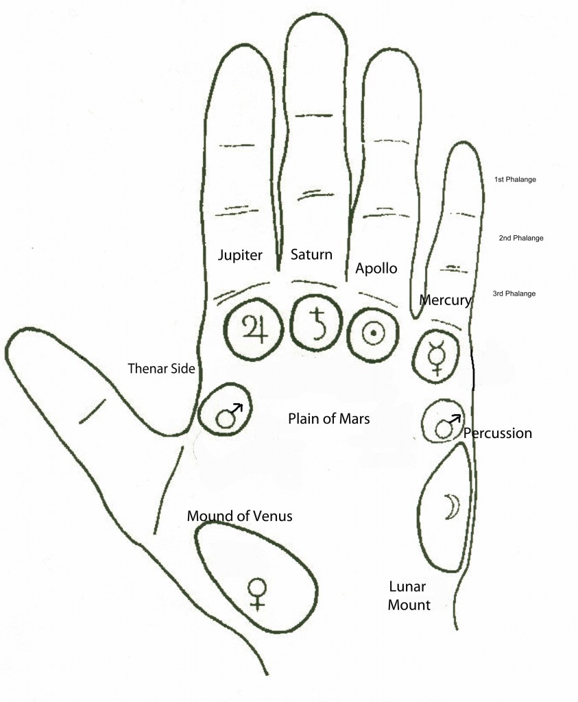 Workshop Spotlight: Palmistry in 60 minutes