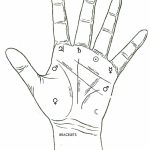 Learn Palmistry basics in 60 minutes