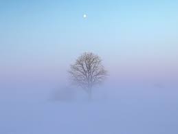 Brain-fog-frozen-fog