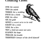 Counting-crows