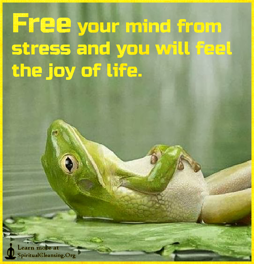 Frog stress-feel-the-joy-of-life.