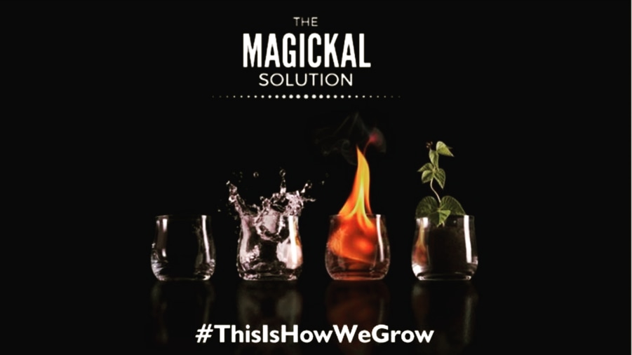 Vendor Spotlight: The Magickal Solution