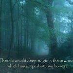 Old-deep-magic-in-these-woods