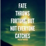 Fortune favors the Brave
