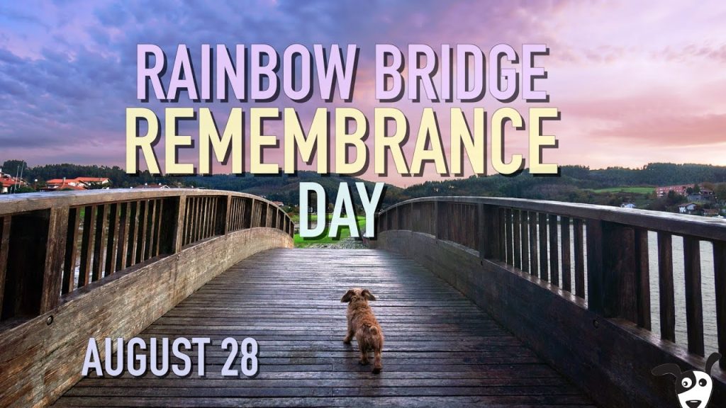 RainbowBridgeRemembranceDay Changing Times Changing Worlds