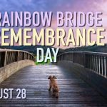 Rainbow-Bridge-Remembrance-Day