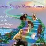 Rainbow Bridge Remembrance Day, b
