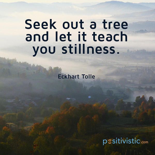Tree stillness Eckhart Tolle