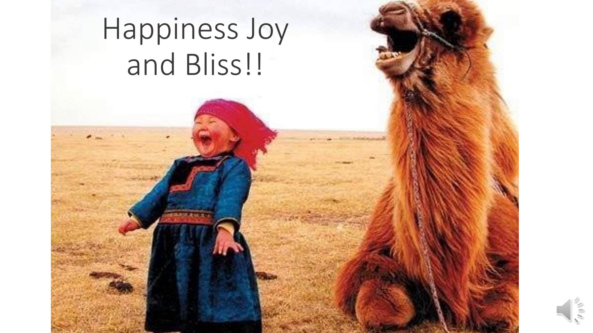 bliss camel and child