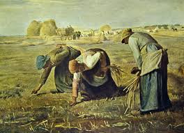 gleaning