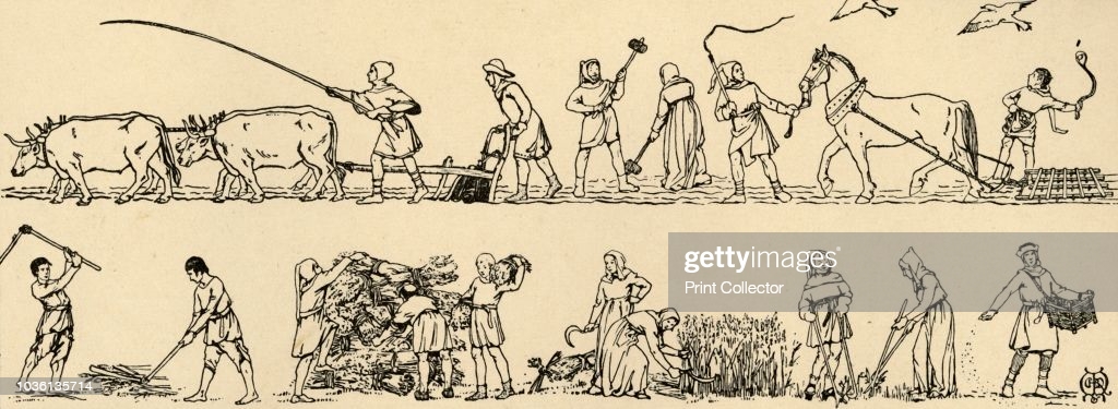 medieval-farming-gettyimages-1036135714-1024×1024-1