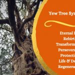 symbolism-meaning-of-yew-tree